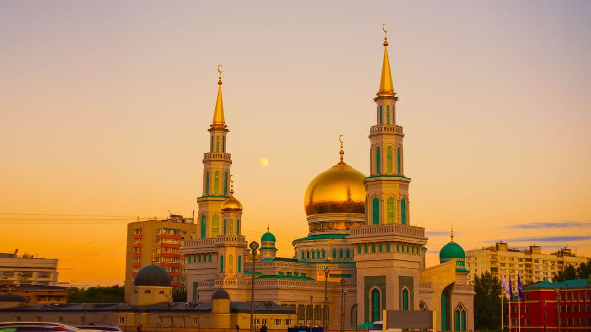 Sunni Group Tours